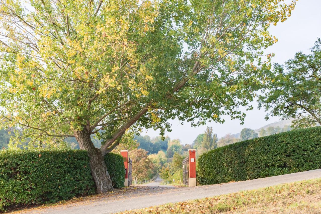 Ca Palazzo Malvasia - Bolognarooms Sasso Marconi Exteriér fotografie